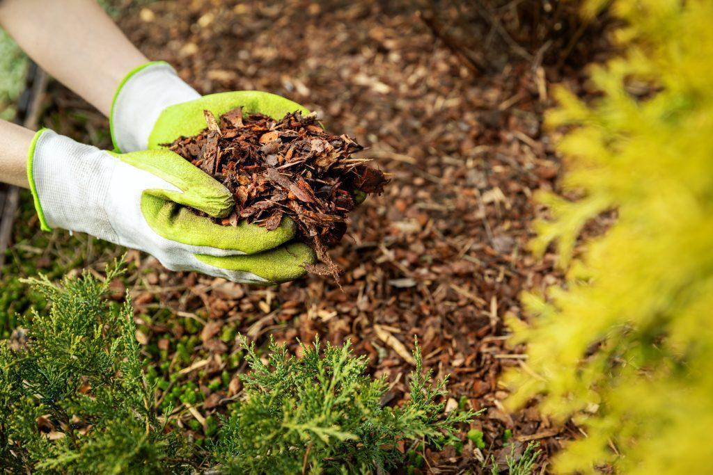 Basic Yard Work
