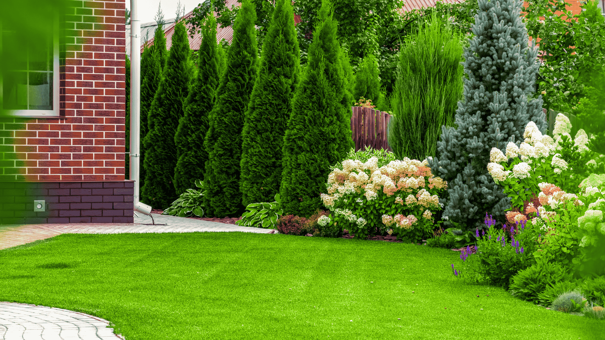 Basic Landscaping & Equipment Setup